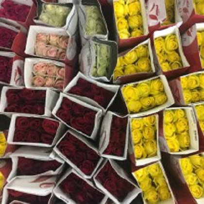 Order specialists